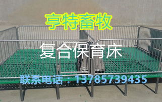 橡膠復合墊在養豬設備中的應用與市場報價分析