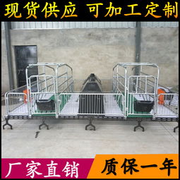 養(yǎng)豬設(shè)備升級 從母豬產(chǎn)床到全復(fù)合板雙體產(chǎn)床，助力高效養(yǎng)殖