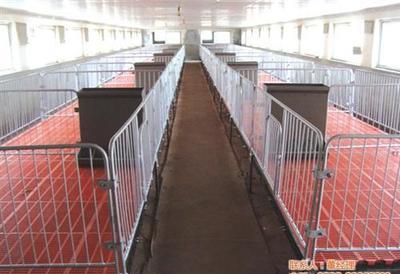 全面解析養豬設備 提升養殖效益的關鍵工具